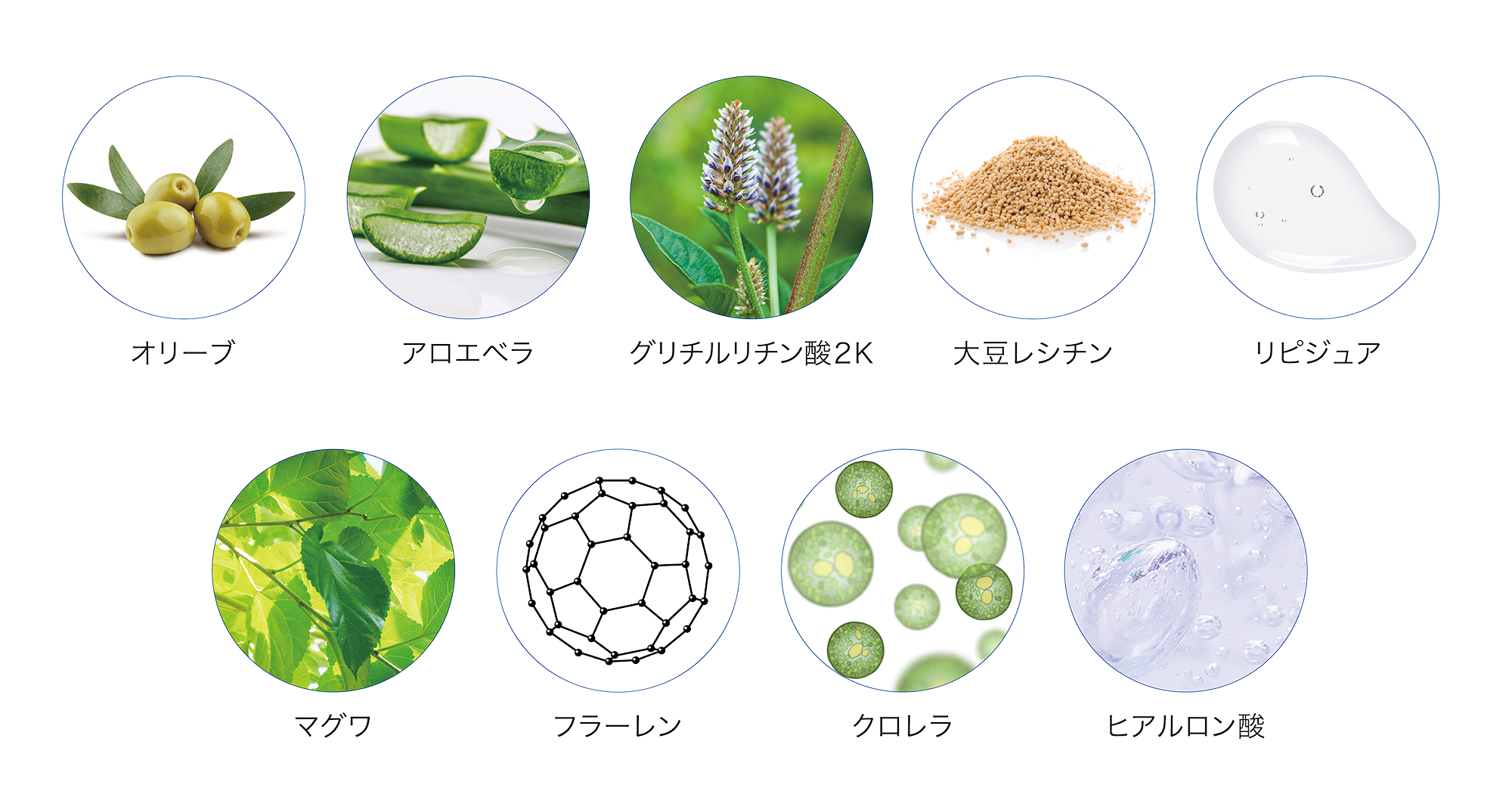 保湿成分イメージ画像